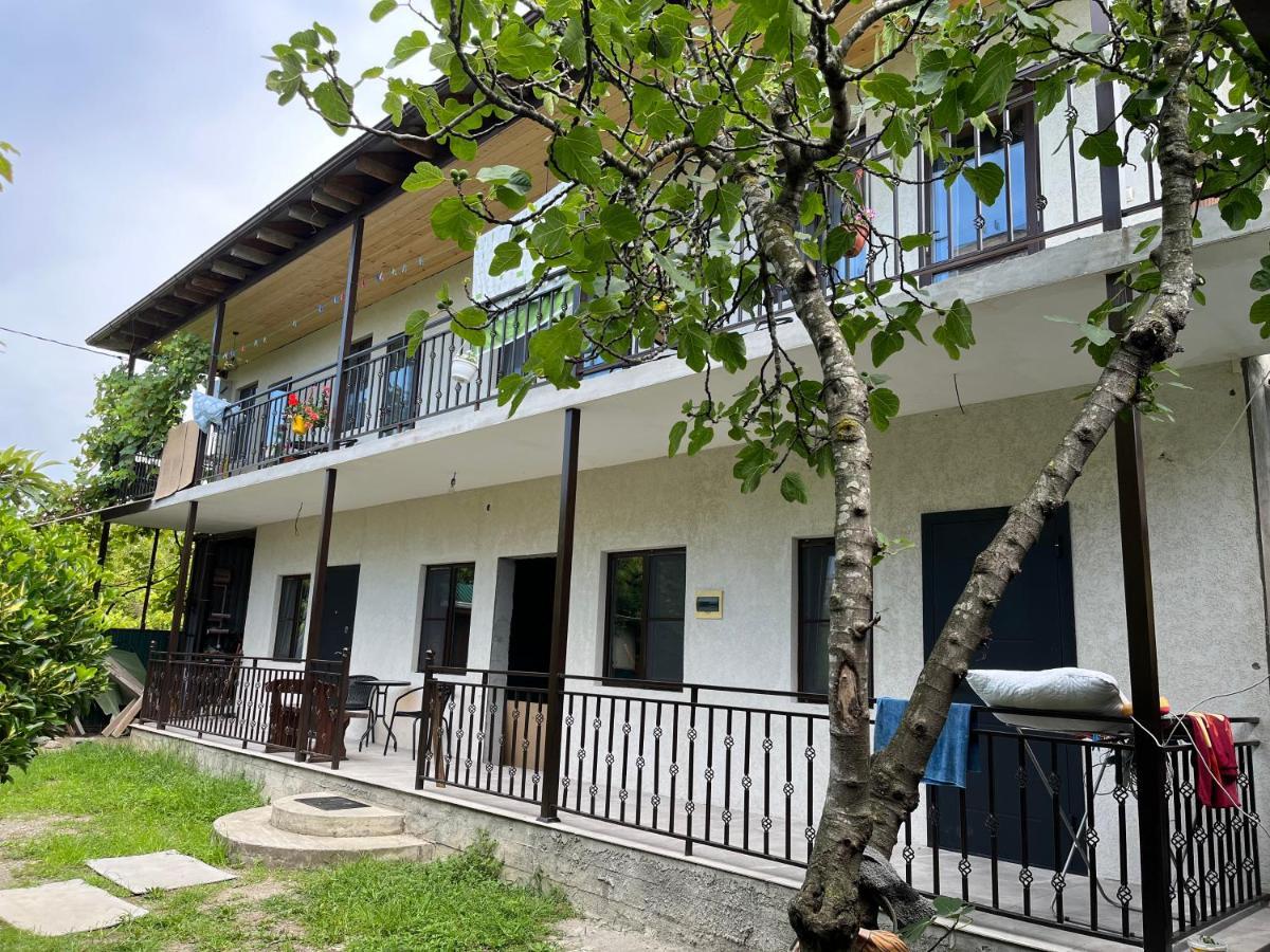 Леон Hotel Gagra Ngoại thất bức ảnh